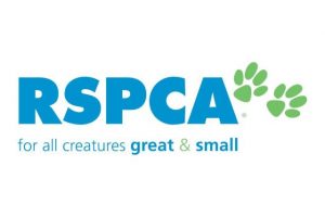 RSPCA calls for political parties to commit to animal welfare issues