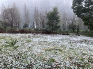 Snow could fall tomorrow throughout the Dandenong Ranges