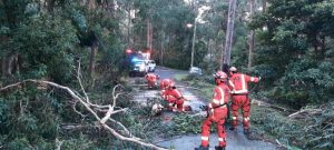 Emerald SES plays their part in wind response