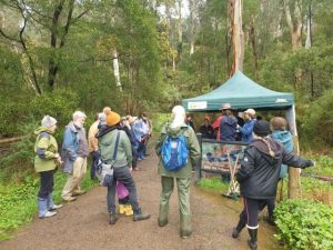 The State of the Dandenongs