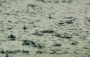 Dandenong Ranges experiences a wet winter