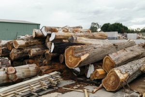 local feedback sought for Economic Development Strategy