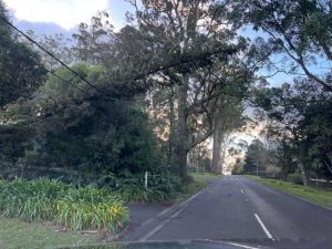 Plenty of power outages across Yarra and Dandenong Ranges