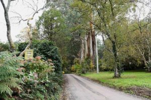 Draft Tree Camopy strategy endorsed by Yarra Ranges Council