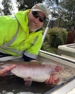 Rainbow trout introduced to lakes in Yarra Valley and Dandenong Ranges