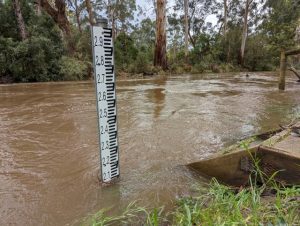 Bridge in Yellingbo was on the brink of flooding