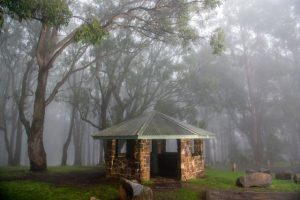 the best currently open walks and picnic areas in the Dandenong Ranges