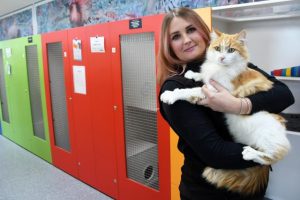 Mission Adoptable unites animal adoption organisations