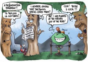 CARTOON: Can the trees just get along?