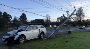 Police appeal for witnesses to vehicle colliding with power pole