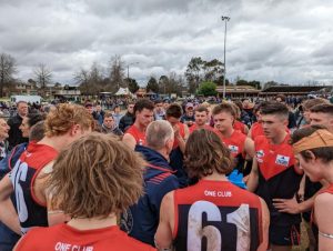 Nailbiting Grand Final sees Demons devastated