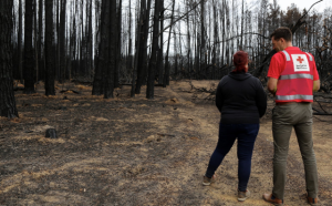 Prepare your emergency plan this spring