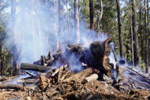 Debris burning closes walking tracks