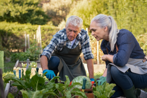 Recovering from the storm through garden program
