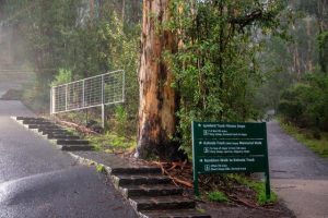 1000 Steps reopens to public