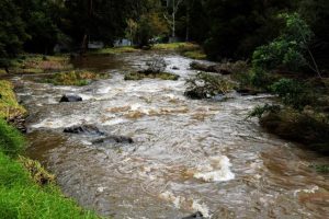25-year high for Melbourne’s water mark