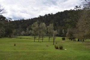 Victorians urged to stay safe in parks and forests