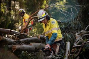 Council advocates for another $19 million for storm recovery