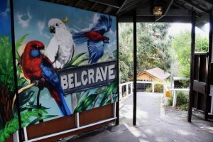 What to do on a day out in Belgrave
