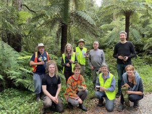 Friends of Sassafras Creek hosting wildilife corridor working bee