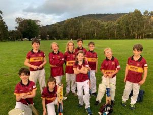 Season restarts for Monbulk Cricket