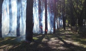 Kalorama residents warned of planned burns