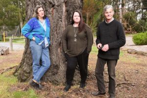 Council set to amend Planning Scheme Erosion Management Overlay in 2024