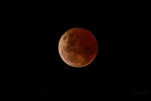 Locals capture total lunar eclipse