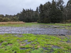 Trust for Nature targets critical areas for protection