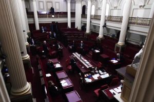 Locals miss out, but minor party set to win big in Upper House election