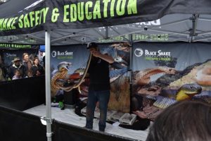 Safety and education a top priority after snake sightings