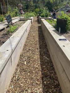 SNIPPETS: Chickens at home workshop at Belgrave Food Garden