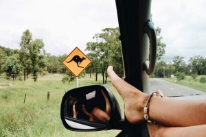 Road trip tips across the festive season