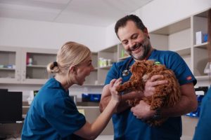 Avoid hurting your pets this Christmas with leftovers