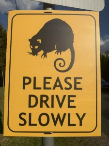 Wildlife Victoria is asking drivers to slow down