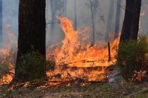 Preparing for bushfires ahead of fire season
