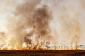 Preventing grassfires this summer
