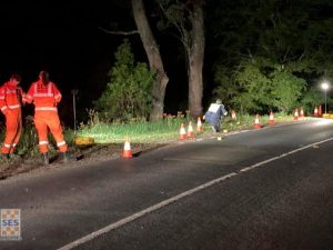 SES and paramedics respond to Mt Dandenong motorcycle accident