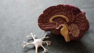 New dementia guide published