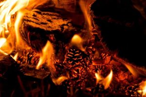 How to respond if a fire breaks out