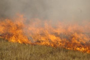Grass fires a threat this summer