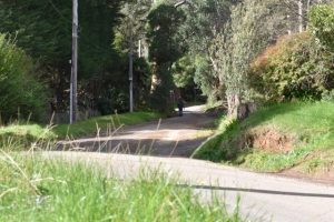 Funding cut confirmed for important road project