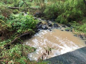 Future of Koolunga Native Reserve questioned during council meeting