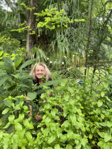 Immerse yourself in the Dandenongs’ flora and fauna
