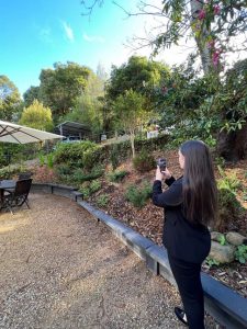 Rental properties and housing hot in the hills