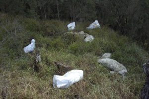 EPA warns Victorians to manage pollution even when on break