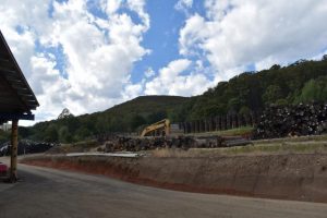 Greens push to end native logging by the end of 2023