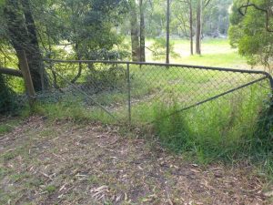 Local petitions council for new walking track to Birdsland Reserve