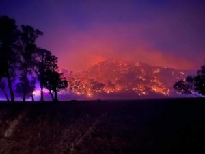 Local brigades help fight Flowerdale grass fire
