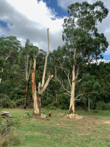 Mount Evelyn’s interesting volcanic history